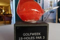 Par 3 wedstrijd 2019